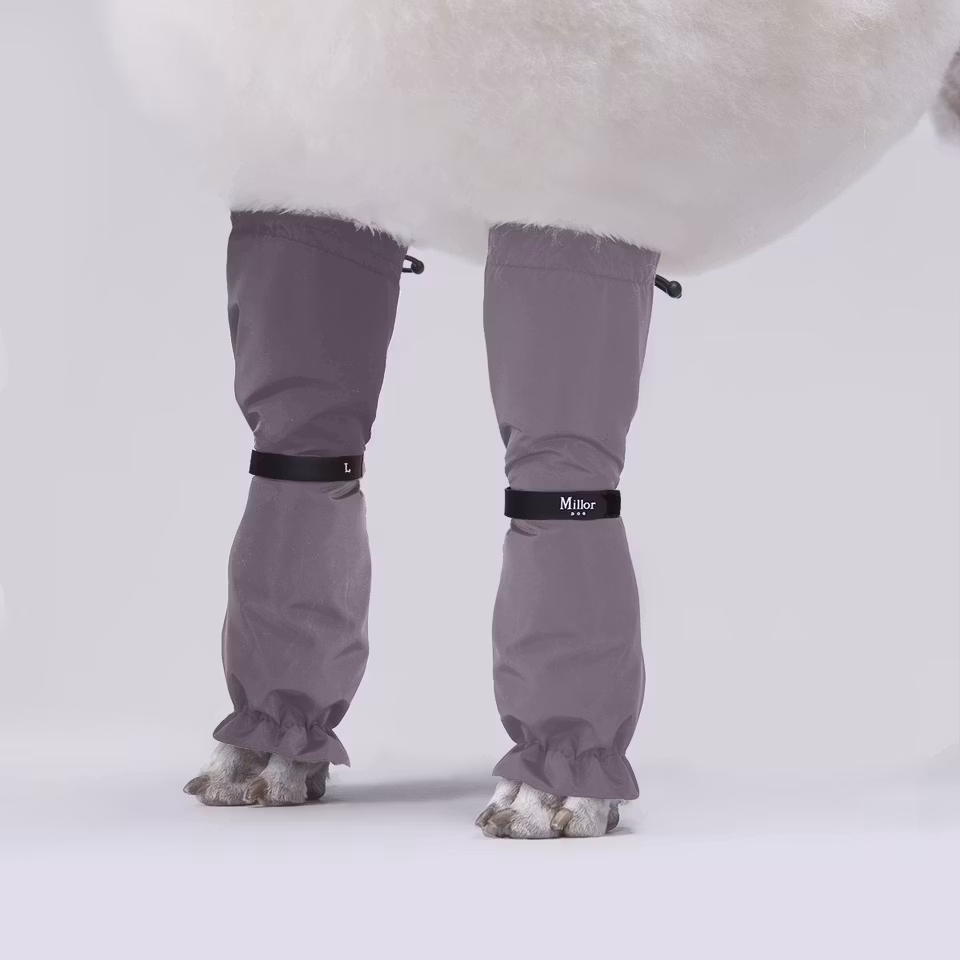 MILLOR DOG - PROTECTORS LAVENDEL LANGE 4pk 55-58cm