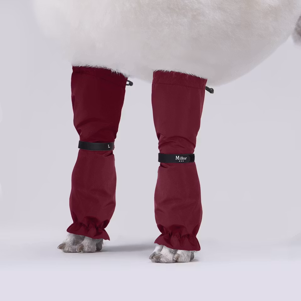 MILLOR DOG - PROTECTORS CHERRY RED LANGE 4pk 62-65cm