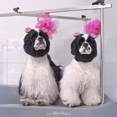 MILLOR DOG - TOWEL PANDA M