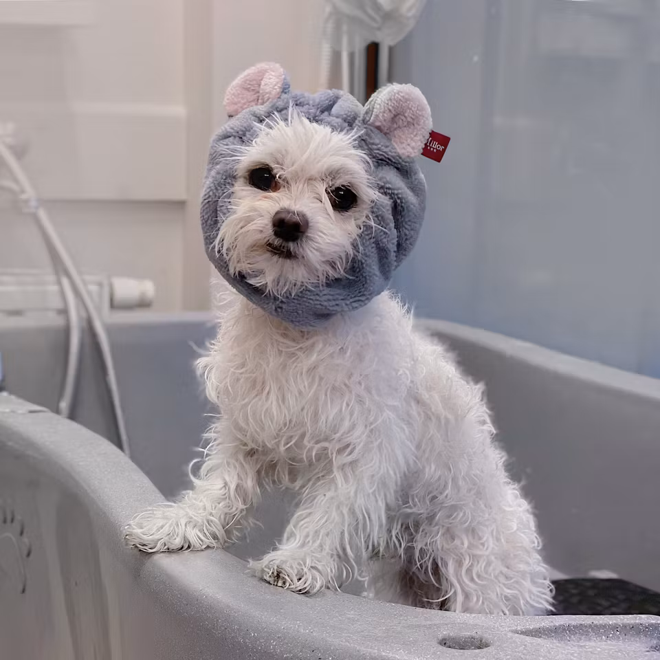 MILLOR DOG - TOWEL HIPPO XS