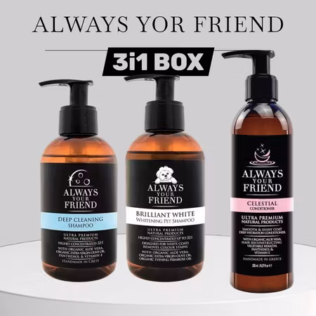 AYF KIT  Whitening/Celestial