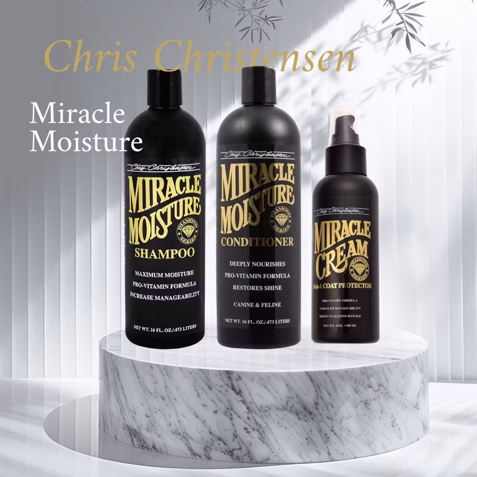 KIT Chris Christensen Moisture