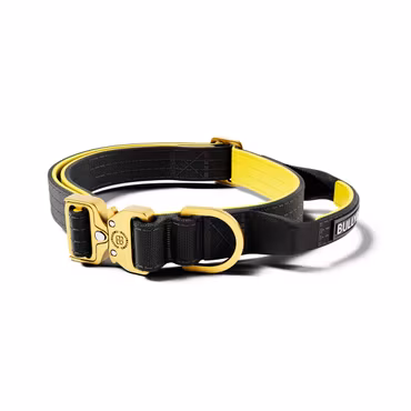 BullyBillows 2.5cm Lighter Combat® Collar Black x Yellow