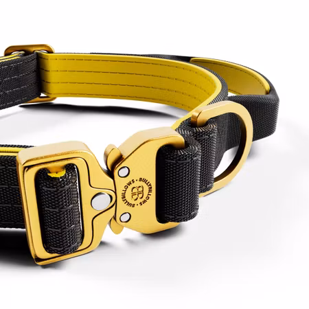 BullyBillows 2.5cm Lighter Combat® Collar Black x Yellow