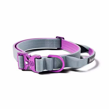 BullyBillows 2.5cm Lighter Combat® Collar Purple x Grey