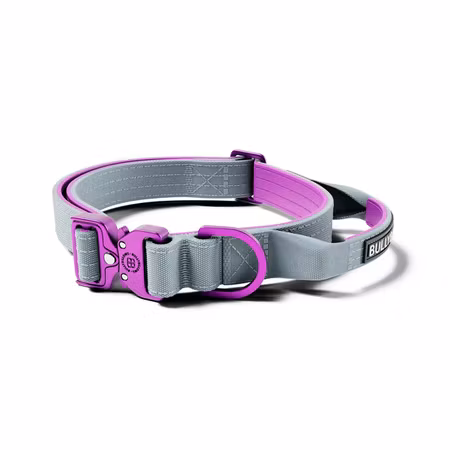 BullyBillows 2.5cm Lighter Combat® Collar Purple x Grey