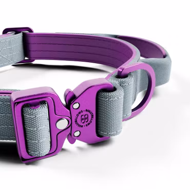 BullyBillows 2.5cm Lighter Combat® Collar Purple x Grey