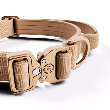 BullyBillows 2.5cm Lighter Combat® Collar Tan x Tan