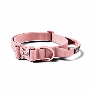 BullyBillows 2.5cm Lighter Combat® Collar Pink x Pink