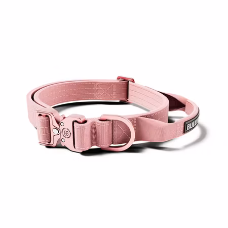 BullyBillows 2.5cm Lighter Combat® Collar Pink x Pink