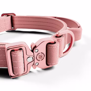 BullyBillows 2.5cm Lighter Combat® Collar Pink x Pink