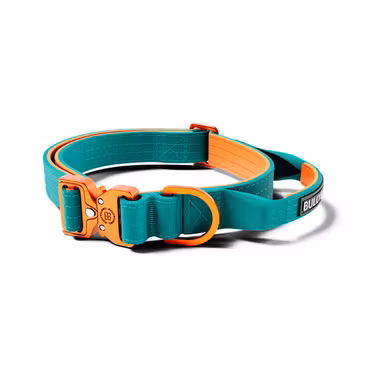 BullyBillows 2.5cm Lighter Combat® Collar Turquoise x Orange