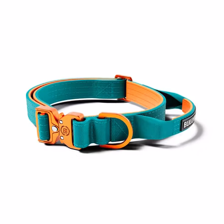 BullyBillows 2.5cm Lighter Combat® Collar Turquoise x Orange