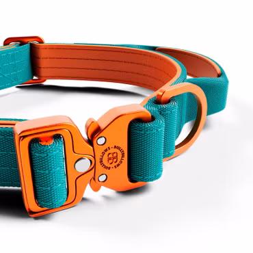BullyBillows 2.5cm Lighter Combat® Collar Turquoise x Orange