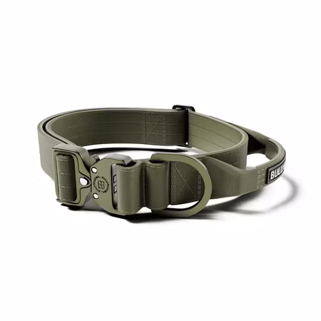 BullyBillows 4cm Lighter Combat® Collar Khaki x Khaki