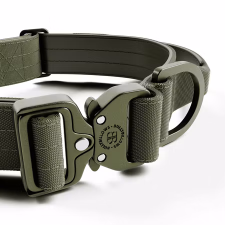 BullyBillows 4cm Lighter Combat® Collar Khaki x Khaki