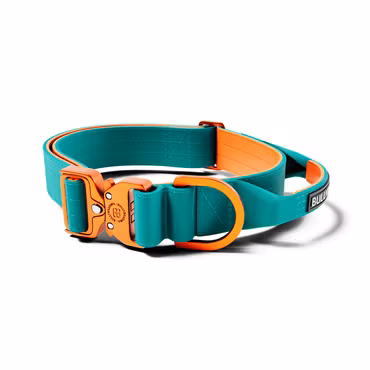 BullyBillows 4cm Lighter Combat® Collar Turquoise x Orange