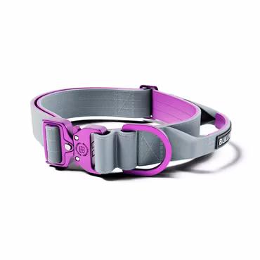 BullyBillows 4cm Lighter Combat® Collar Purple x Grey