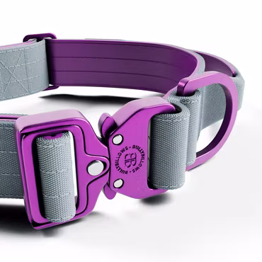 BullyBillows 4cm Lighter Combat® Collar Purple x Grey