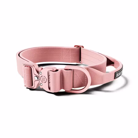 BullyBillows 4cm Lighter Combat® Collar Pink x Pink