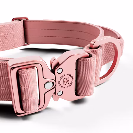 BullyBillows 4cm Lighter Combat® Collar Pink x Pink