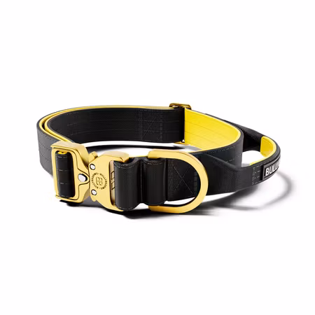 BullyBillows 4cm Lighter Combat® Collar Black x Yellow