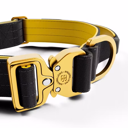 BullyBillows 4cm Lighter Combat® Collar Black x Yellow