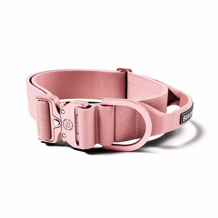 BullyBillows 5cm Lighter Combat® Collar Pink x Pink