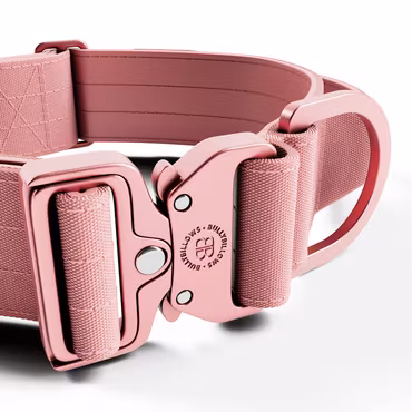 BullyBillows 5cm Lighter Combat® Collar Pink x Pink