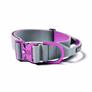 BullyBillows 5cm Lighter Combat® Collar Purple x Grey
