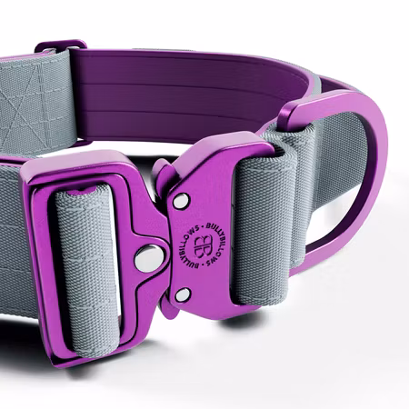 BullyBillows 5cm Lighter Combat® Collar Purple x Grey