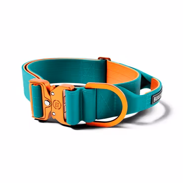 BullyBillows 5cm Lighter Combat® Collar Turquoise x Orange