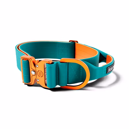 BullyBillows 5cm Lighter Combat® Collar Turquoise x Orange