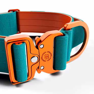BullyBillows 5cm Lighter Combat® Collar Turquoise x Orange