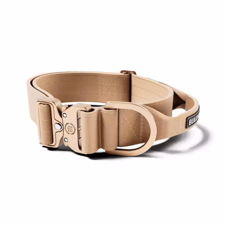 BullyBillows 5cm Lighter Combat® Collar Tan x Tan