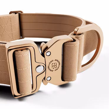 BullyBillows 5cm Lighter Combat® Collar Tan x Tan