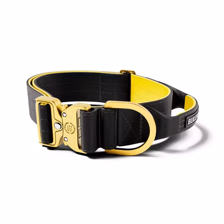 BullyBillows 5cm Lighter Combat® Collar Black x Yellow