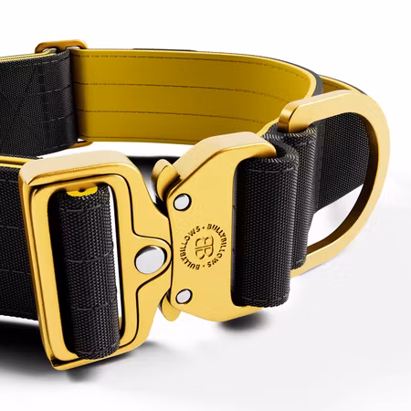 BullyBillows 5cm Lighter Combat® Collar Black x Yellow