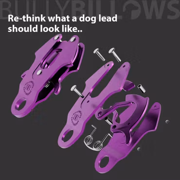 BullyBillows 1.4m LIGHTER Swivel Combat Lead Purple x Grey