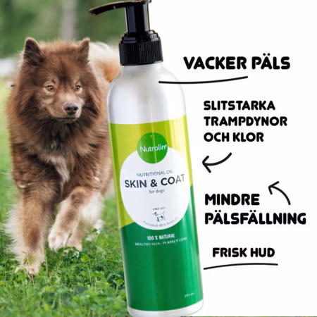 Nutrolin® SKIN & COAT