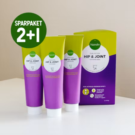 Nutrolin® HIP & JOINT-pasta