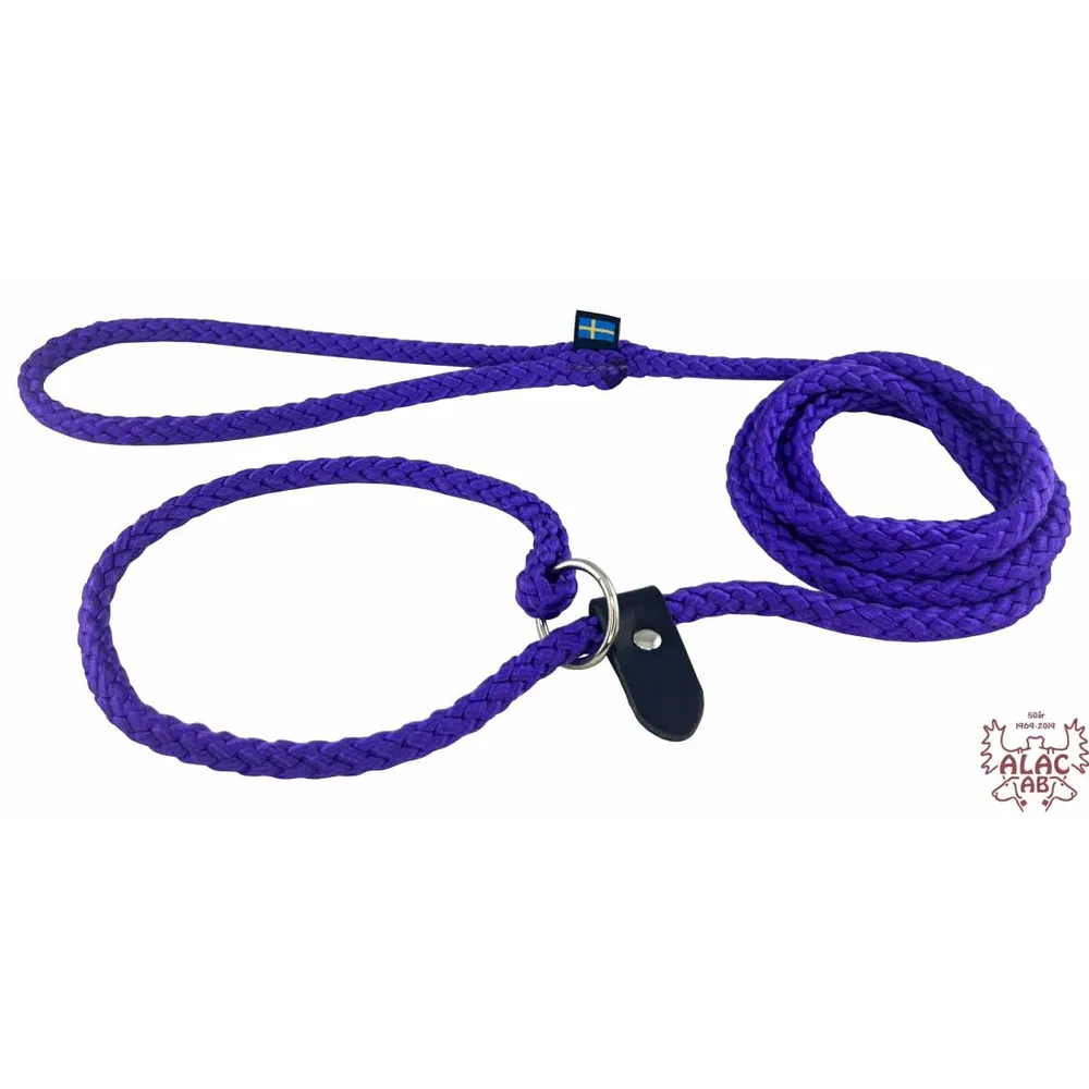 Alac Koppel Utställning Retriever Ring & Stopp Lilla