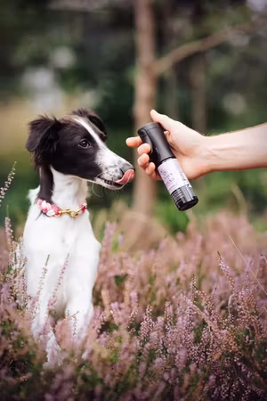 Always Your Friend - Infinity The Forever Perfume Spray 90ml