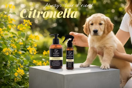 AYF KIT Citronella