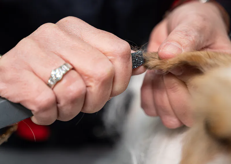 Show Tech Comfort trimmestein 13 & 9mm dobbelsidig