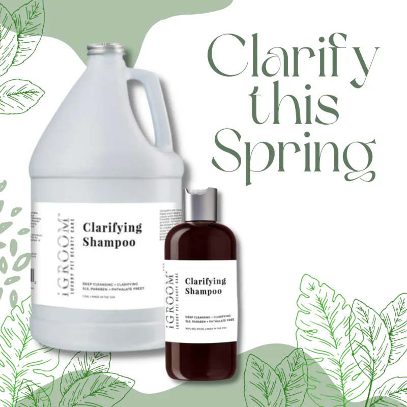 iGROOM Clarifying Shampoo 473ml