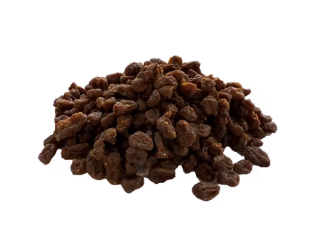 WOOLF WILDDOG SOFT VENISON (Hjort) BITES 100G
