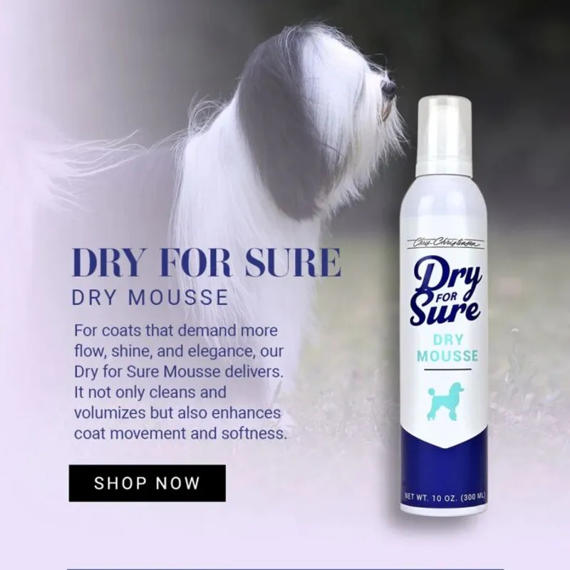 Chris Christensen Dry For Sure Mousse 300ml