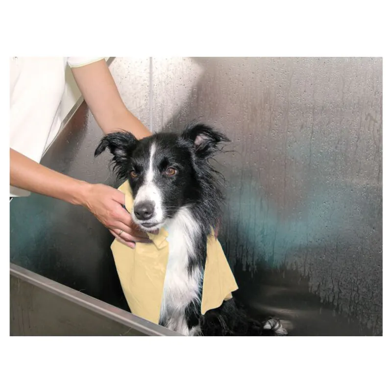 Show Tech Magic Towel 66x43x0,2cm Pet Towel