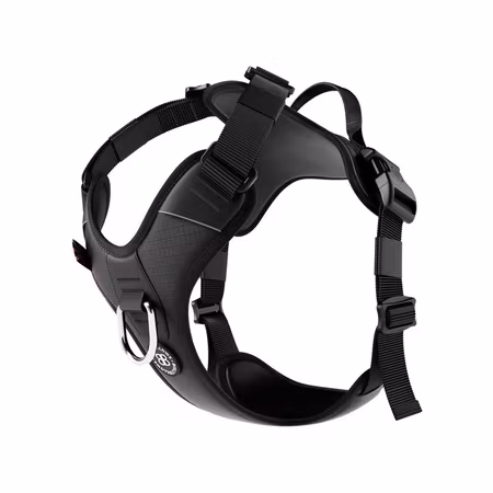 BullyBillows Hurricane Harness Black x Black